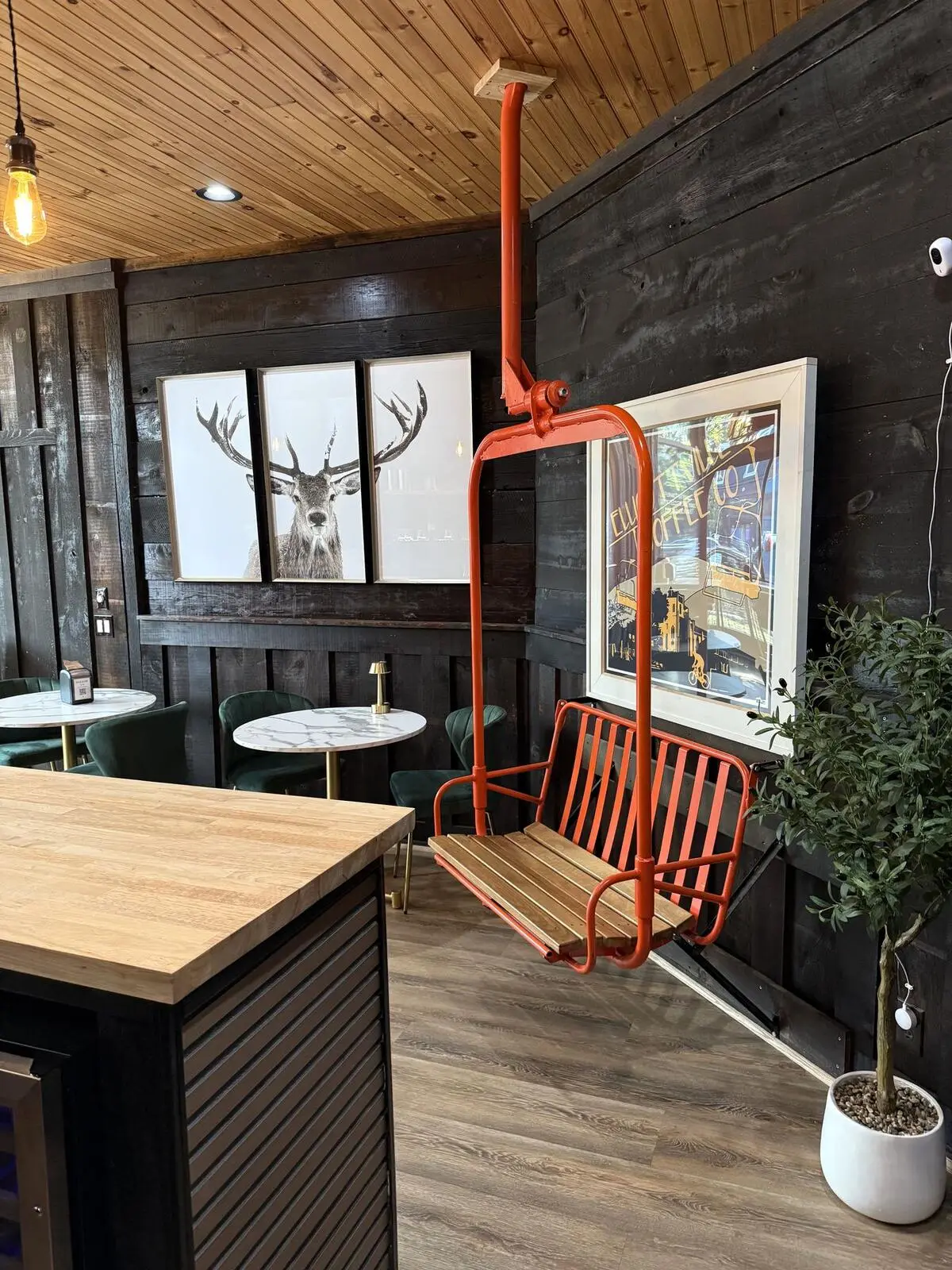 The orange chairlift seat in The Last Chair, under three framed deer prints